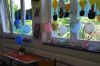 DSC_0215.jpg