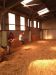 2012-06-21 09.58.29.jpg