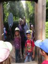 IMG_9231.jpg