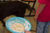 DSC_0183.jpg