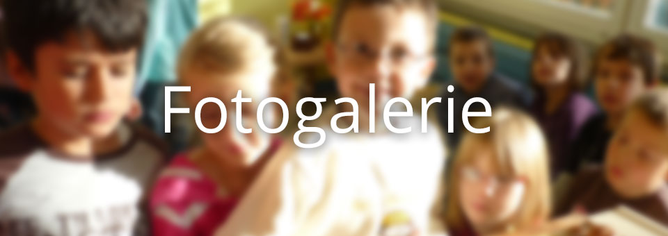 Fotogalerie